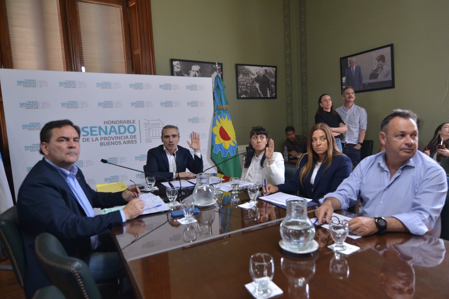 Avanza en el Senado bonaerense el tratamiento de proyectos con impacto productivo, cultural y social