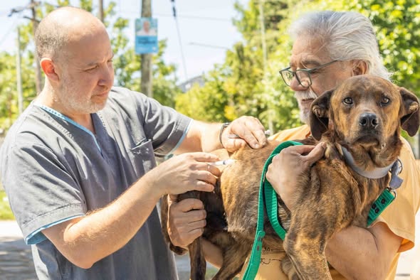 Nueva jornada veterinaria en el barrio: vacunación y atención gratuita para mascotas